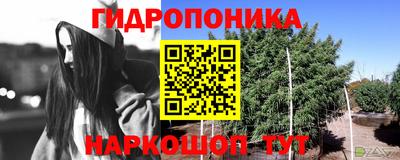 метадон Лесосибирск