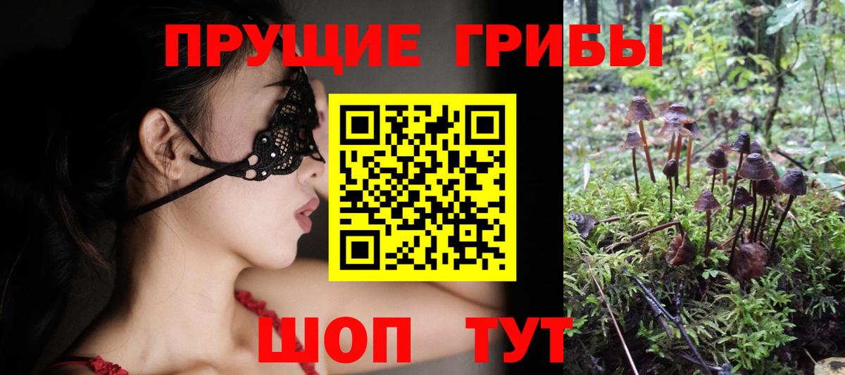 Псилоцибиновые грибы GOLDEN TEACHER Вышний Волочёк